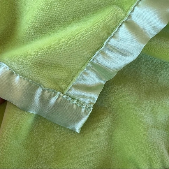 Disney Winnie The Pooh Tigger Green Minky Lovey Satin Trim Plush Soother GUC - Picture 9 of 11